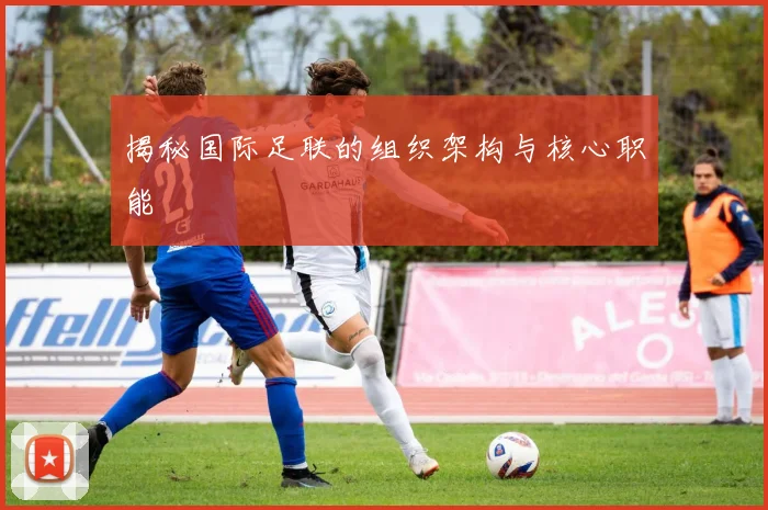 揭秘国际足联的组织架构与核心职能