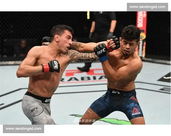 UFC 最新比赛结果与精彩集锦_20260603221205